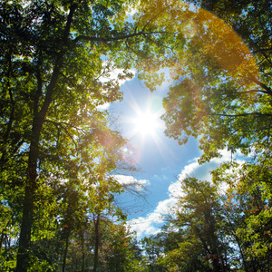 400部酒店情侣偷拍视频
